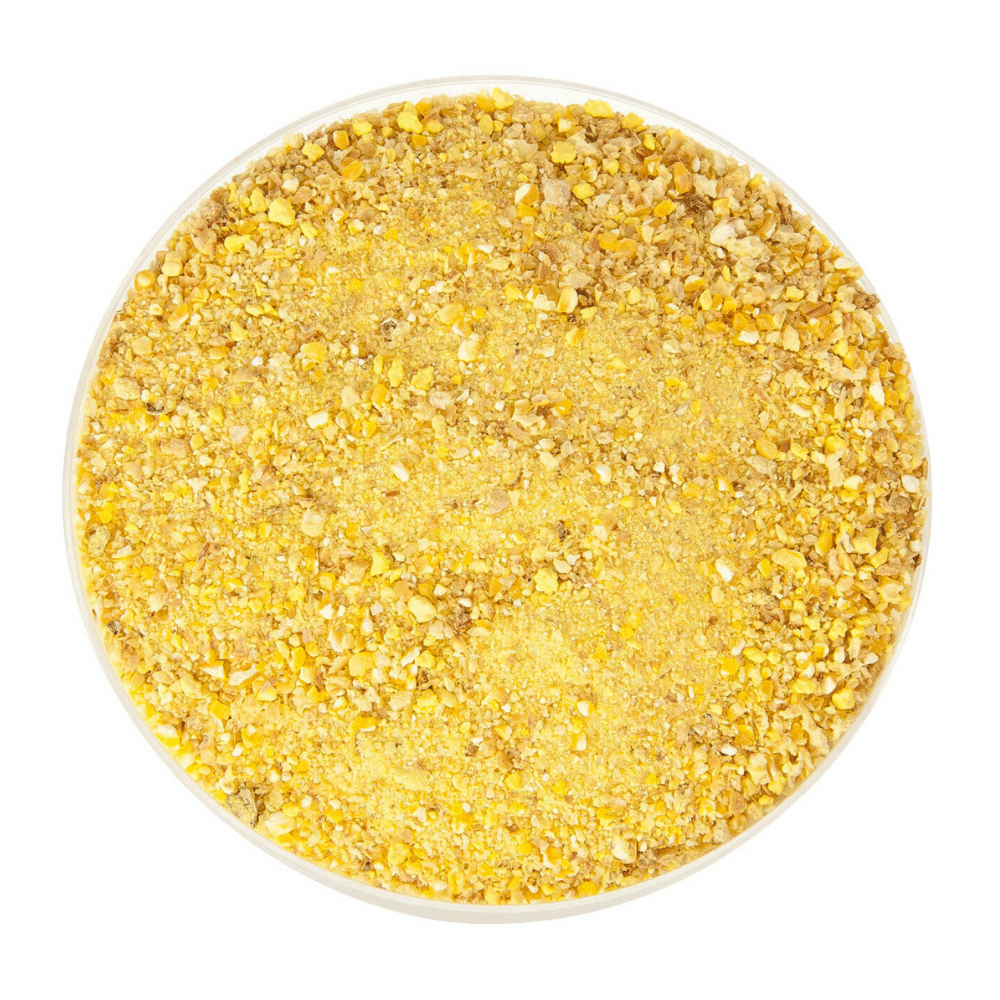 MS Range Club Tench/Carp 2,5kg 2 MS Range Club Tench/Carp 2,5kg – Bild 2