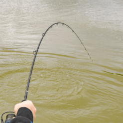 Preston Supera X Feeder 11 Ft -Feederruten NiedrigerPreis SUPERA X FEEDER RODS3 1280x1280