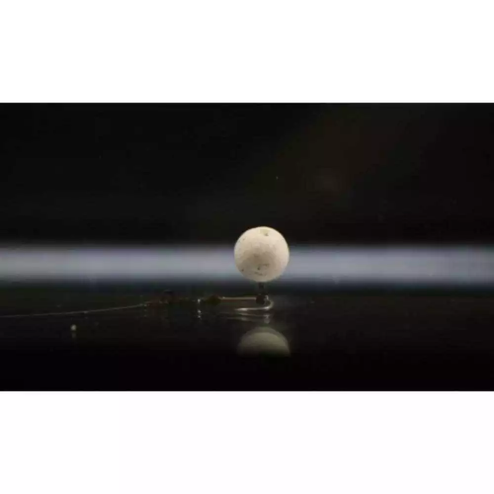 Zadravec Baits Wafters N-Butyric 20 G 8 Mm 2 Zadravec Baits Wafters N-Butyric 20 G 8 Mm – Bild 2