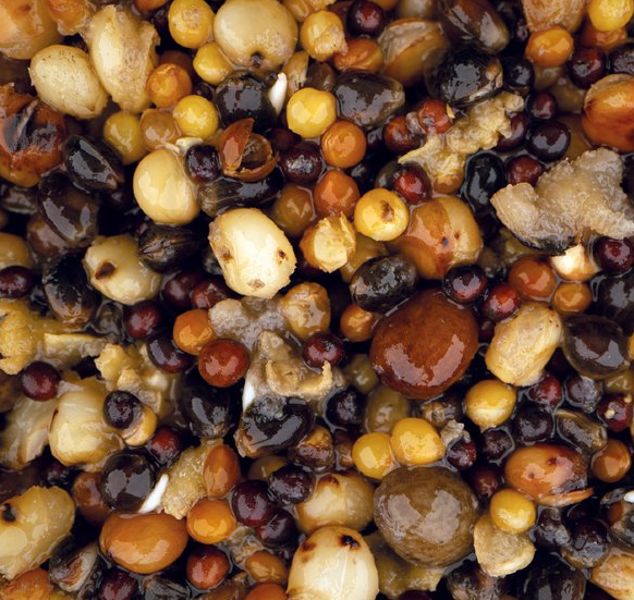 Nash Small Seed Mix 2,5 Liter 2 Nash Small Seed Mix 2,5 Liter – Bild 2