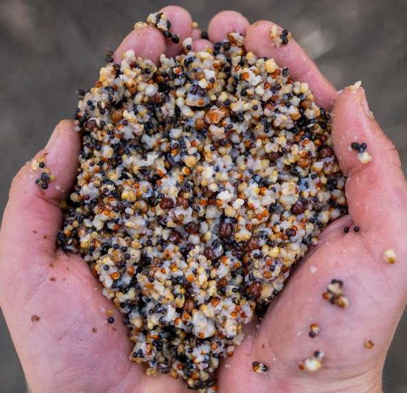 Nash Small Seed Mix 500 Ml 2 Nash Small Seed Mix 500 Ml – Bild 2