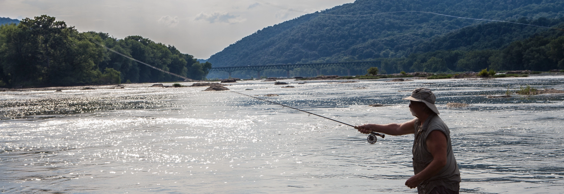 Feederruten NiedrigerPreis 3 Feederruten NiedrigerPreis -Feederruten NiedrigerPreis MKFS banner 004